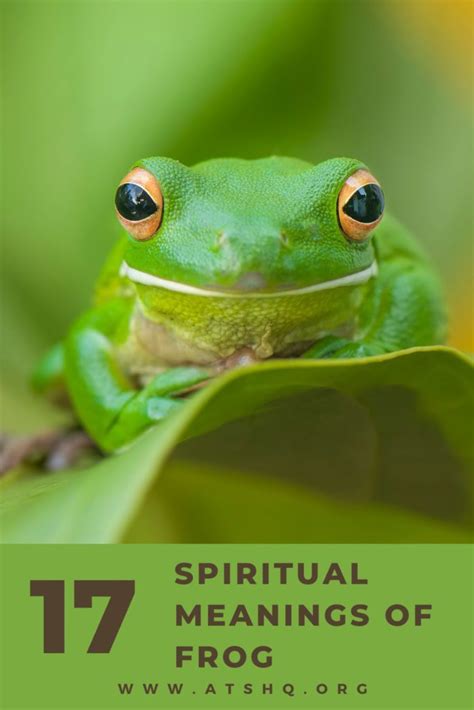 Frog Symbolism: 17 Spiritual Meanings Of Frog