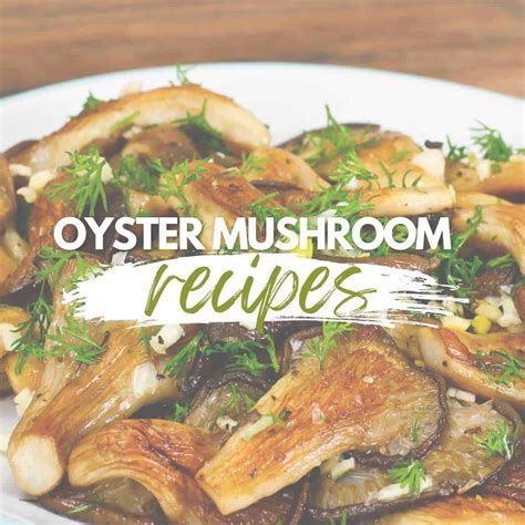 25 Amazing Oyster Mushroom Recipe Ideas to Try