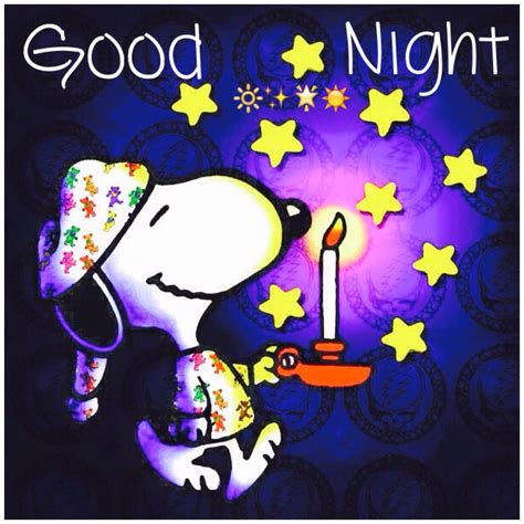 Pin by Blanca Cervantes on Snoopy Fun Times.. ☀️ | Goodnight snoopy, Snoopy images, Snoopy pictures