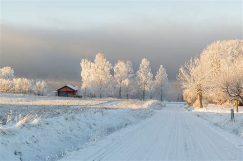 壁纸 : 阳光, 冬季, 冰, 早上, 霜, 瑞典, 北极, 冷冻, Sverige, 山, 天气, 季节, 暴风雪, 大气现象 ...