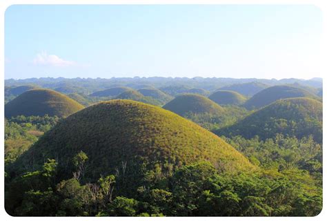 Tarsiers and chocolate hills in Bohol | The Philippines - GlobetrotterGirls