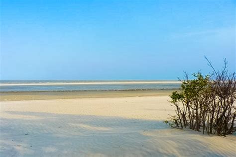 10 Beaches to Visit in West Bengal - Tourist Attractions and Things To Do