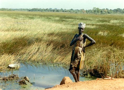 Women and Climate Change in Senegal - BORGEN