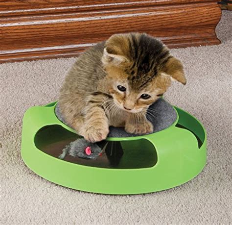 Spinning Cat Toy & Cat Scratchers – Rotating Mouse & Cat Scratch Pad | eBay