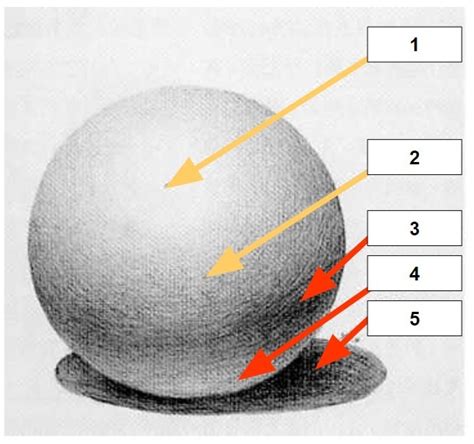 Diagram of a Sphere: Value Study Diagram | Quizlet