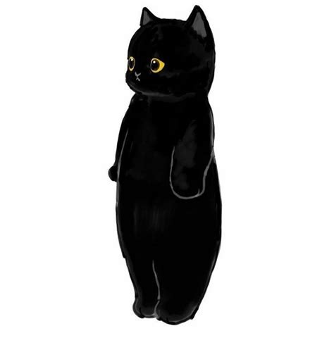 a black cat with yellow eyes standing on its hind legs