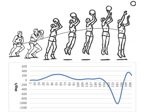 Angular velocity of the elbow joint regarding the different stages of... | Download Scientific ...