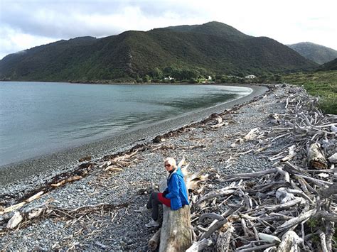 Kapiti Island Nature Reserve - Wildlife and Nature Tours