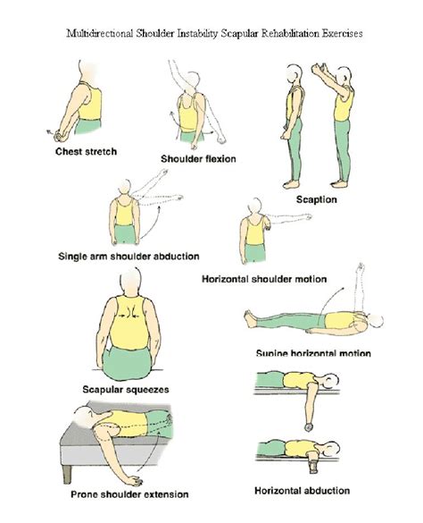 Shoulder Exercises Pdf Handout