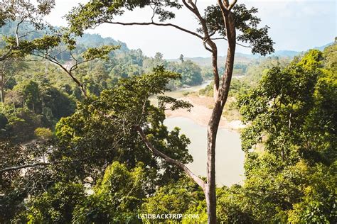 Taman Negara National Park: Travel Guide — LAIDBACK TRIP