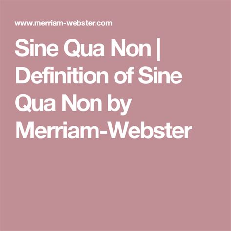 Sine Qua Non | Definition of Sine Qua Non by Merriam-Webster | Sine qua ...