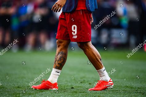 Roberto Firmino Liverpool Lion Tattoo On Editorial Stock Photo - Stock Image | Shutterstock