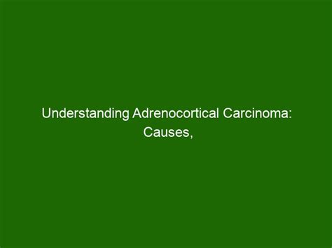 Understanding Adrenocortical Carcinoma: Causes, Symptoms, & Treatments ...