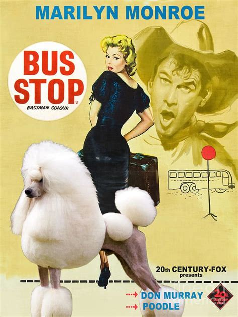 Bus Stop (1956 film) - Alchetron, The Free Social Encyclopedia