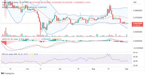 Dogecoin on a Long-Term Sideways Journey; Can DOGE Price Rise?