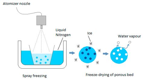 Foods | Free Full-Text | The Freeze-Drying of Foods—The Characteristic ...