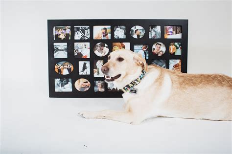 Pet Portrait Calendar