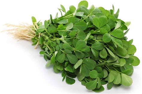 How to Grow Fenugreek – Dosingo