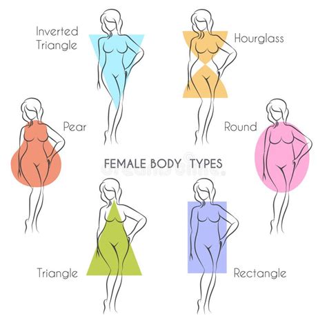 Body Shape Stock Illustrations – 148,105 Body Shape Stock Illustrations, Vectors & Clipart ...