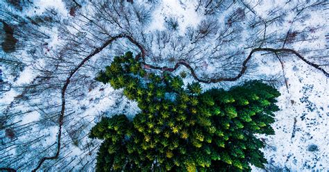 10+ Of The Best Drone Photos Of 2016 | Bored Panda