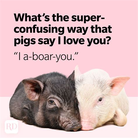 31 Pig Puns That Will Make You Snort with Laughter | Reader's Digest