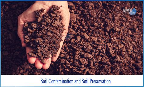 What is the cause of soil pollution and its types