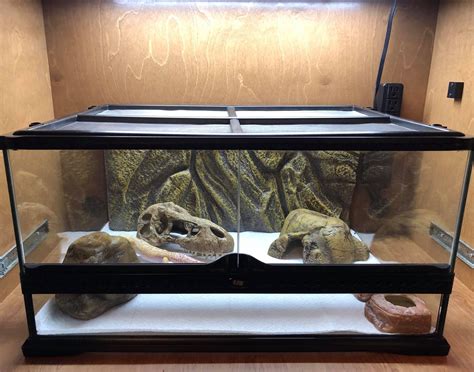 #leopardgecko Leopard Gecko Tank, Enclosure, Pets, Simple, Animals, Animales, Animaux, Animal ...