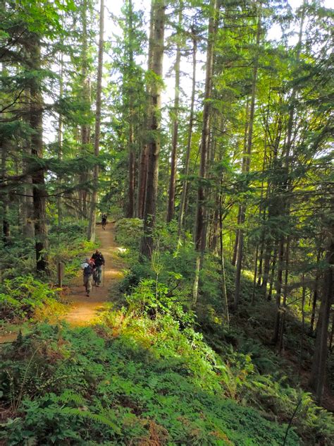 Among the Big Trees | On Big Tree Ridge, with Pete leading R… | Flickr