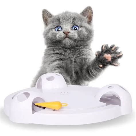 Electronic Cat Toy | Top Interactive Cat Toys - Glamorous Dogs Store