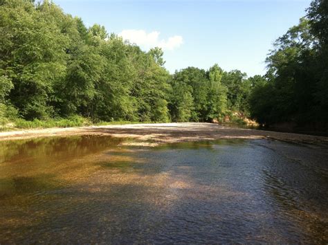 245 acres in Chilton County, Alabama