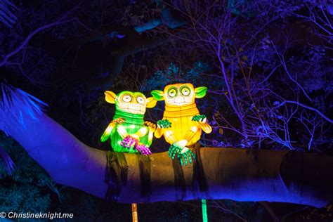 12 Reasons Why Vivid Sydney at Taronga Zoo Is The Best Place To Take Kids - Adventure, baby!