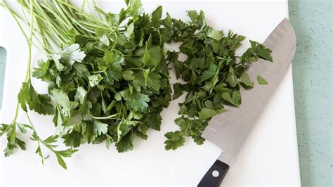 Storing, Freezing, and Drying Cilantro | Mary’s Menu | Copy Me That