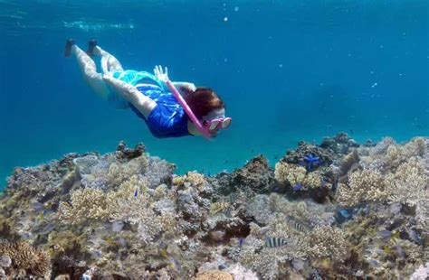 Beyond The Beach: Exploring Exciting Activities In Fiji (with Videos ...