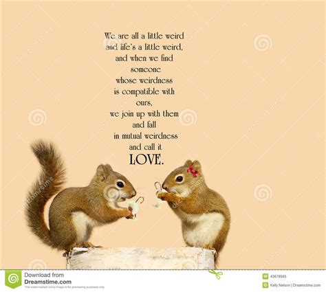 Love Quotes Squirrel Quotes - ShortQuotes.cc