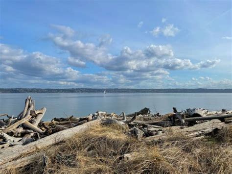 23 Amazing Things to Do on Vashon Island This Weekend - Postcards to Seattle