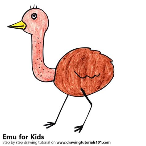 Learn How to Draw an Emu for Kids (Animals for Kids) Step by Step : Drawing Tutorials