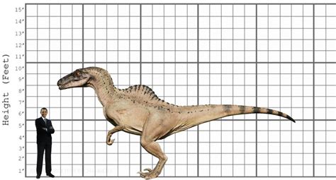 My Spinoraptor size comparison. by EthanThomas2022 on DeviantArt