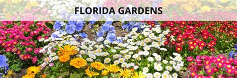 Florida Gardens - Florida Smart