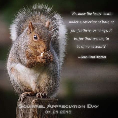 Pin by Michele Cleaves on Squirrel saying | Squirrel appreciation day, Squirrel, Cute baby animals