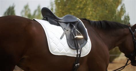 Dressage Saddles | English saddle, Dressage saddle, Horse saddles