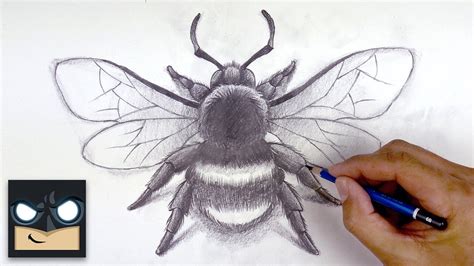 Cute Bee Drawing Realistic - art-puke