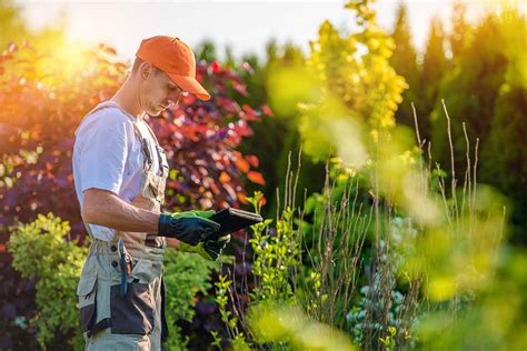 Business Guide: Lawn Care Marketing Strategies & Trends