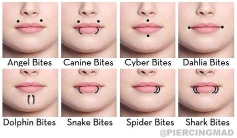 What Are The Different Types Of Piercings