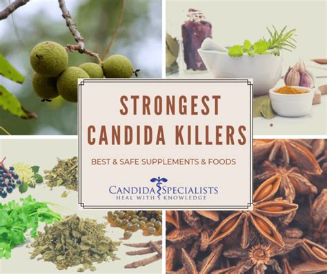 Pin on Candida cleanse