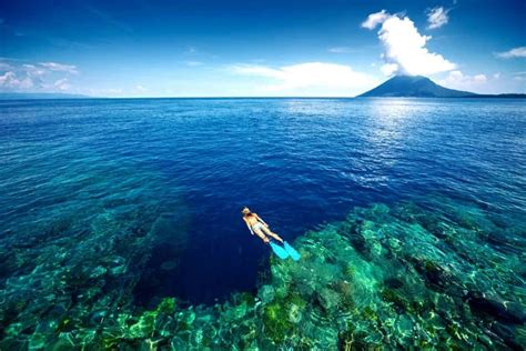 Snorkeling Bunaken Marine Park - Two Fish Divers Indonesia