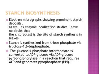 Synthesis of Sucrose and Starch synthesis | PPT