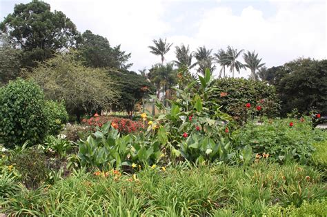 Planes en el Jardín Botánico de Bogotá en julio | Bogota.gov.co