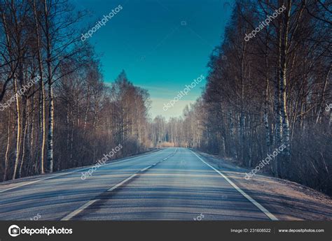 Empty Autumn Road View — Stock Photo © alenka2194 #231608522