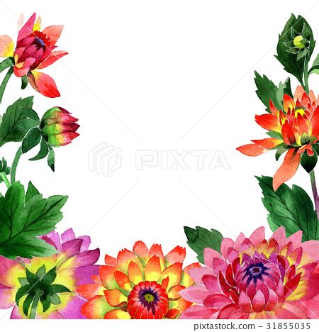 Wildflower dahlia flower frame in a watercolor - Stock Illustration [31855035] - PIXTA