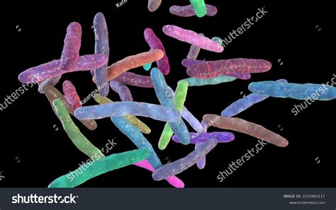 Bacteria Mycobacterium Bovis 3d Illustration Causative Stock Illustration 2232993117 | Shutterstock